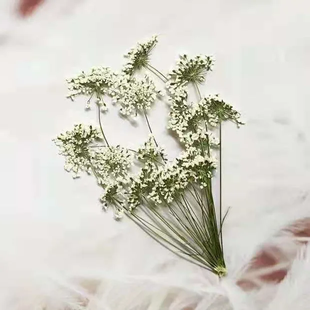 5-7cm/12szt, śnieg małe kwiaty – Craft Embellishment recenzja i cena